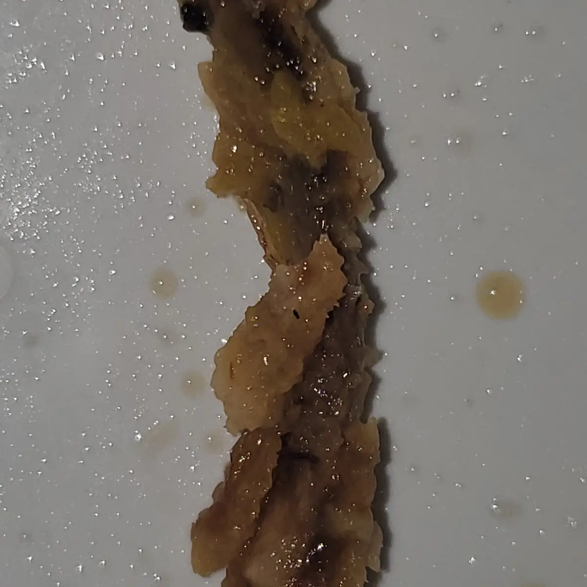 sesame chicken 芝麻鸡